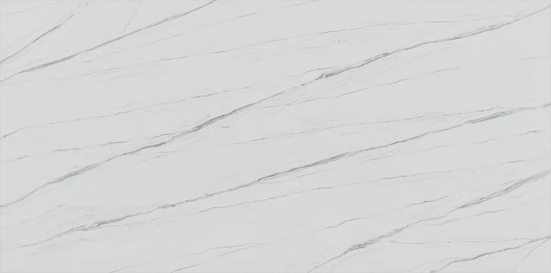 Calacatta White IMG1439