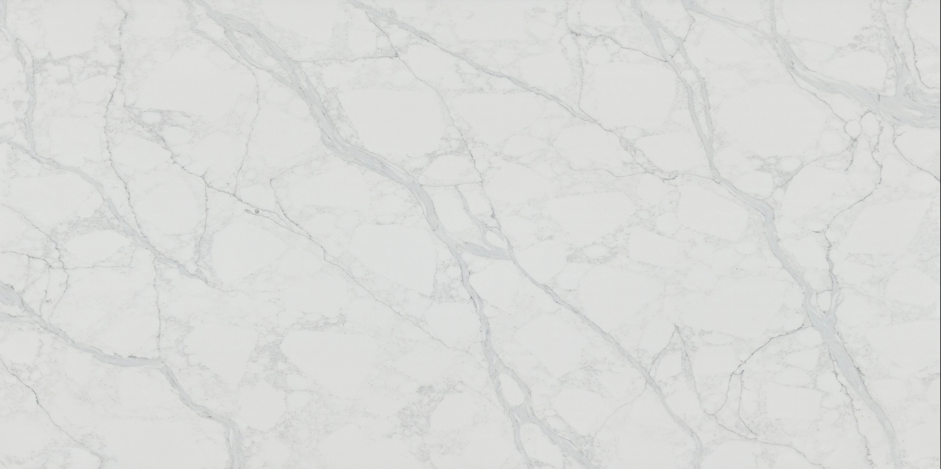 Calacatta White IMG1474