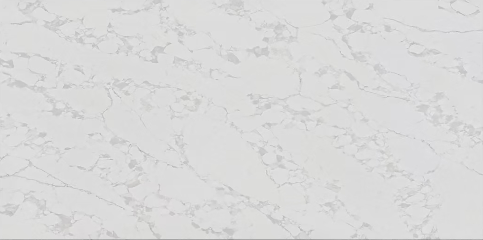 Calacatta Branco IMG1485