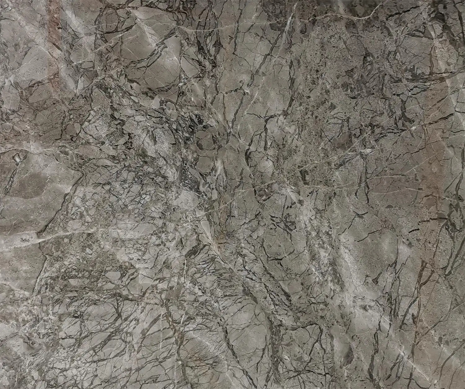 ជ័យជំនះពណ៌ប្រផេះ