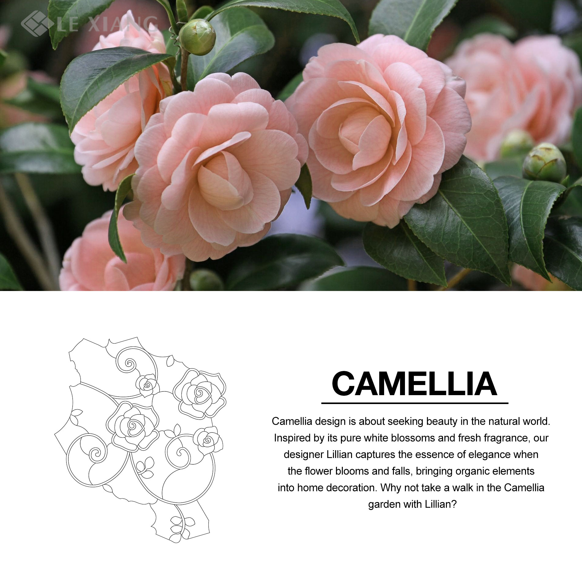 Camellia-WaterJet-Cut-Mosaic-Stone-Tile-For-Bothroom-Wall-8