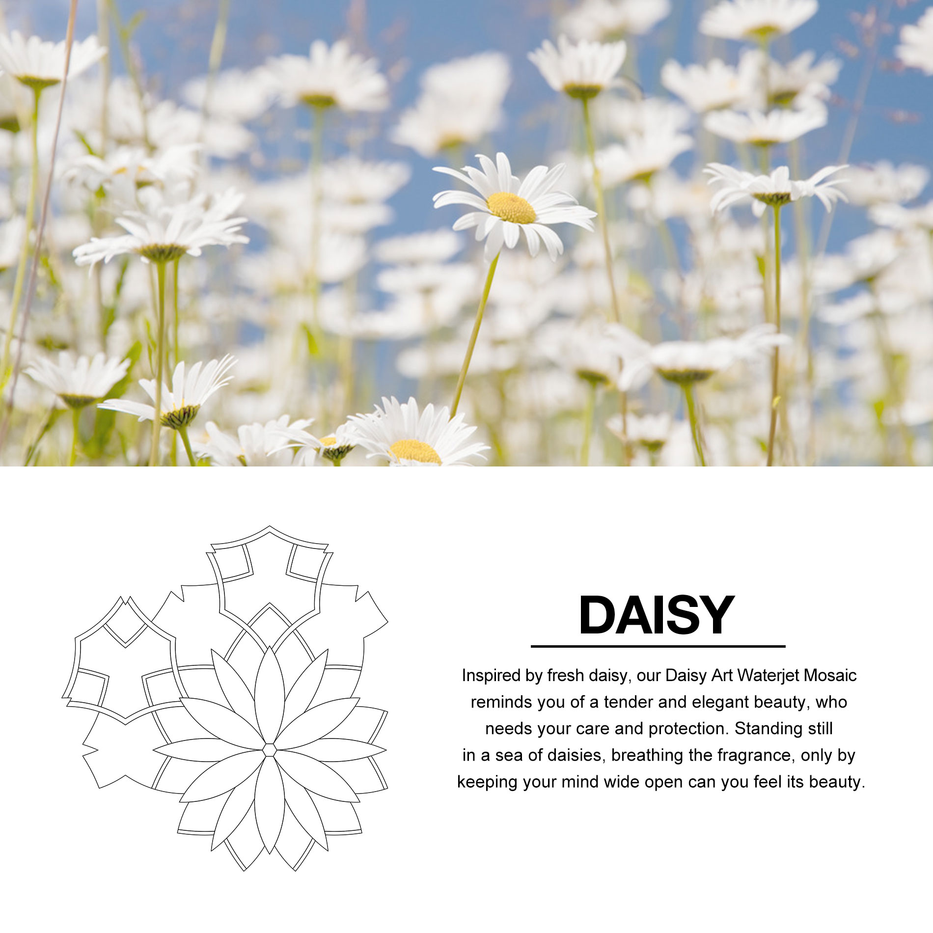 Daisy-Waterjet-Cut-Marble-Mosaic-Tiles-Bathroom-Floors-9